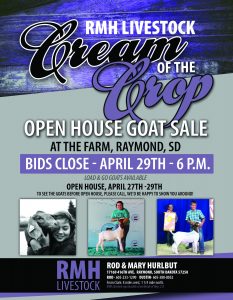 goatsale_18_web