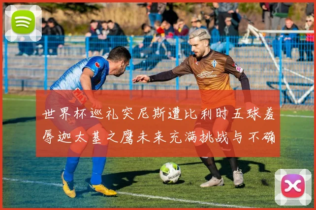 世界杯巡礼突尼斯遭比利时五球羞辱迦太基之鹰未来充满挑战与不确定性