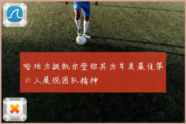 哈珀力挺凯尔登称其为年度最佳第六人展现团队精神