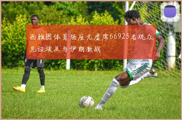 西雅图体育场座无虚席66925名观众见证埃及与伊朗激战